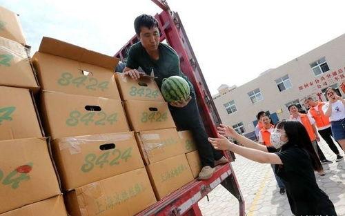公交车爆料吃瓜,揭秘城市生活百态